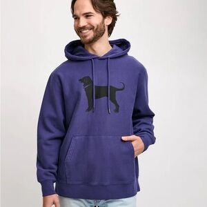The Black Dog Vibrant Blue Pet Hoodie